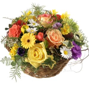 Bunte Frühlingswiese