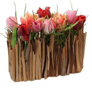 Stilvolles Tulpengärtchen