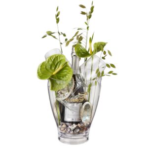 Ocean Breeze: Prosecco Albino Armani DOC (75 cl) inkl. Eiskühler und zwei Connaisseur-Gläser