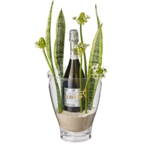 Happy Feelings: Prosecco Albino Armani DOC (75 cl) inkl. Eiskühler