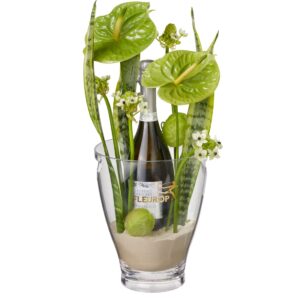 Elégance: Prosecco Albino Armani DOC (75 cl) inkl. Eiskühler