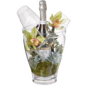 Harmonie der Natur: Prosecco Albino Armani DOC (75 cl) inkl. Eiskühler und zwei Connaisseur-Gläser