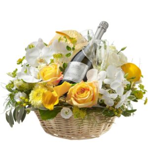 Einfach grossartig ... mit Prosecco Albino Armani DOC (75cl) und zwei Flûte-Gläsern