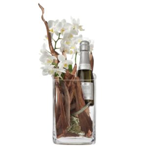 Natürlich und edel mit Prosecco Albino Armani DOC (20cl)