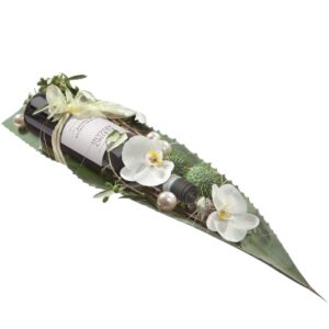 Salute ... mit Ripasso Albino Armani DOC (75cl)