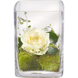 Edles Grüsschen inkl. Vase