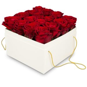 Blumenbox «Venice» (20 cm)