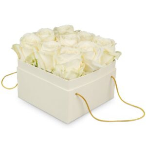 Blumenbox «Athens» (15 cm)