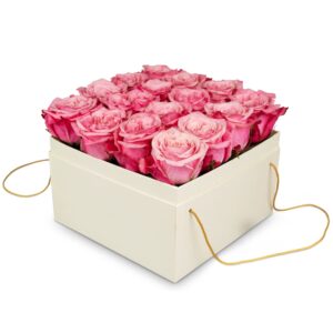 Blumenbox «Lucerne» (20 cm)