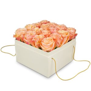 Blumenbox «Vienna» (20 cm)