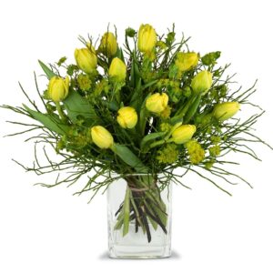 Sonnige Frühlingskomposition