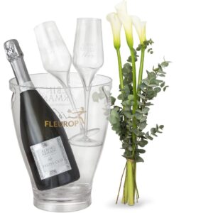 White Elegance mit Prosecco Albino Armani DOC (75 cl), inkl. Eiskühler und zwei Flûte-Gläser
