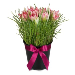 Frühlingswiese (gesteckt)