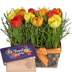 Fröhliche Tulpenwiese mit Schoggi-Tafel «Thank you»