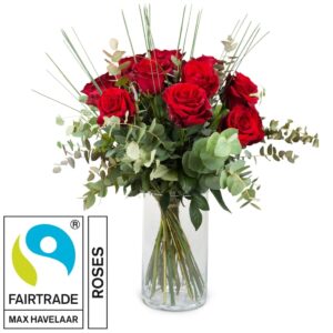 12 rote Fairtrade-Rosen Max Havelaar mit Grün