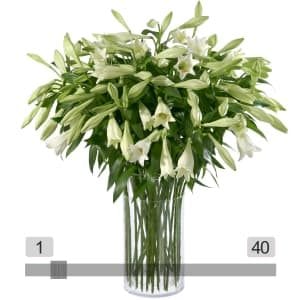 MyBouquet weisse Lilien Longiflorum