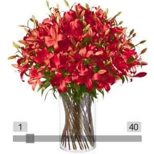 MyBouquet rote Lilien