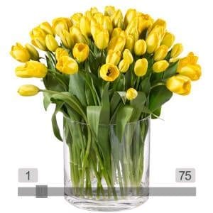 MyBouquet gelbe Tulpen